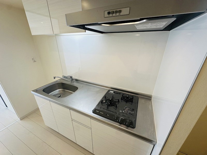 リブリ・アピ その他10