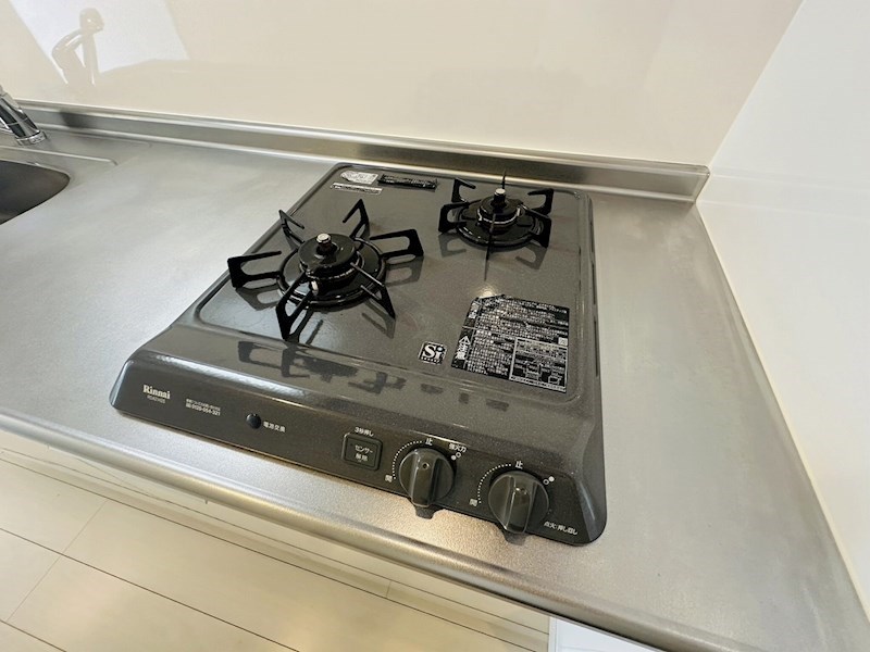 リブリ・アピ その他11