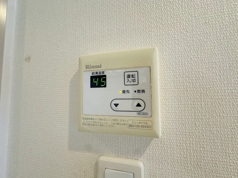 リブリ・アピ その他17