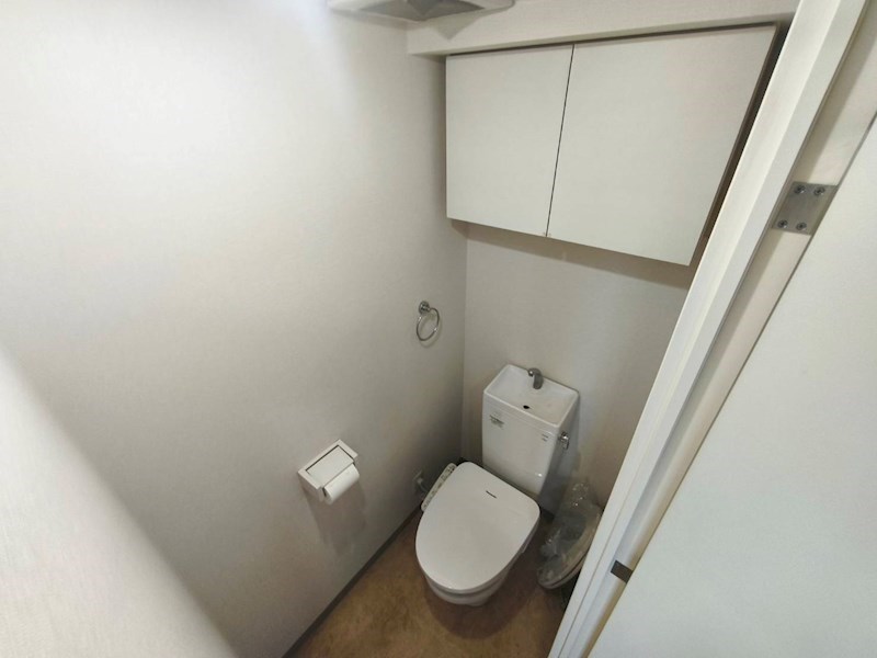 ＰＡＰＩＬＬＯＮ その他1