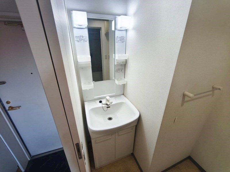 ＰＡＰＩＬＬＯＮ その他2