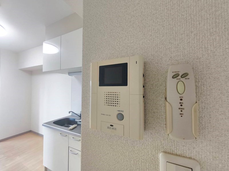 ＰＡＰＩＬＬＯＮ その他3