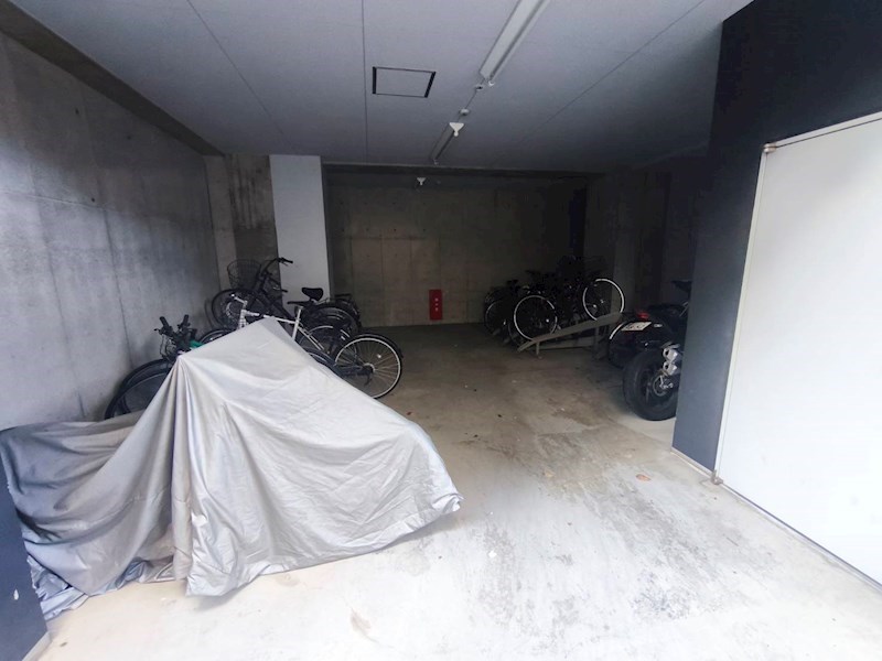 ＰＡＰＩＬＬＯＮ その他外観5