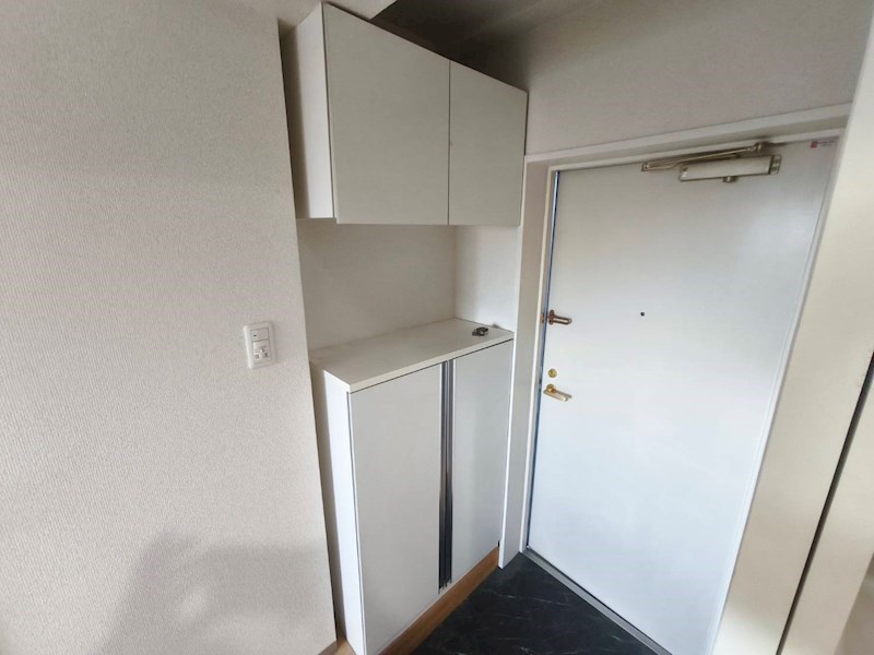 ＰＡＰＩＬＬＯＮ その他7