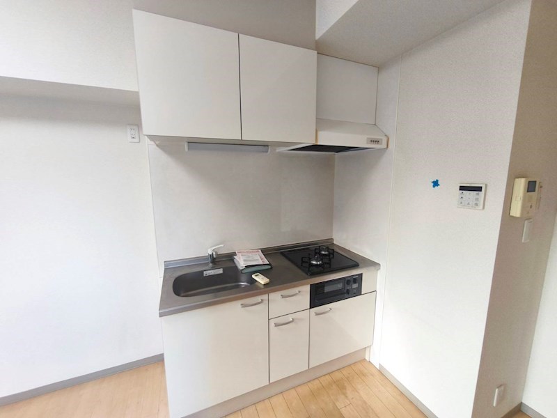 ＰＡＰＩＬＬＯＮ その他13