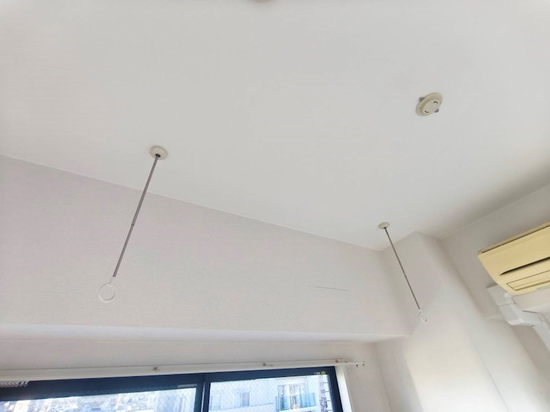 ＰＡＰＩＬＬＯＮ その他14