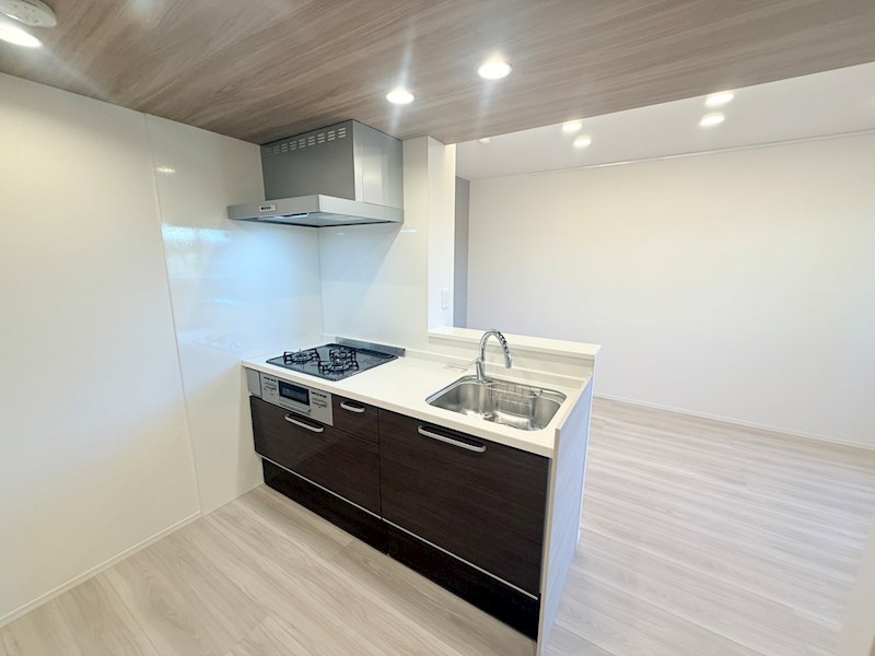 セレスティア扇Ⅲ その他8