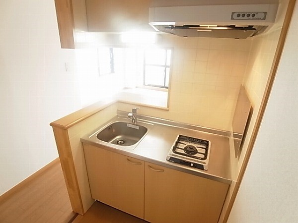 アヴニール豊四季 その他8