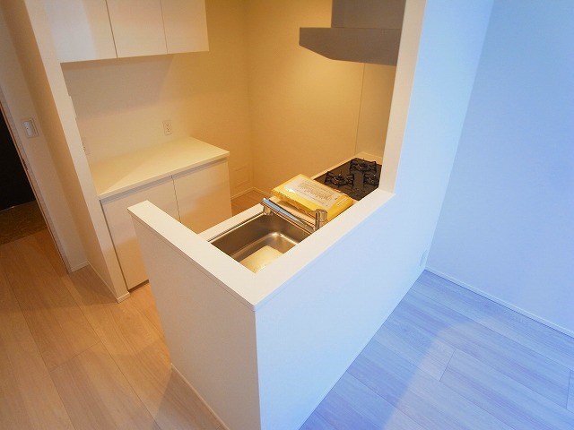 アレスグーテ北千住 その他9