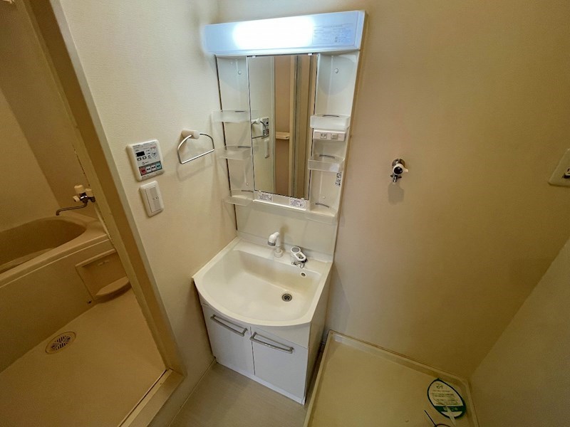 Lovely Rosa その他10