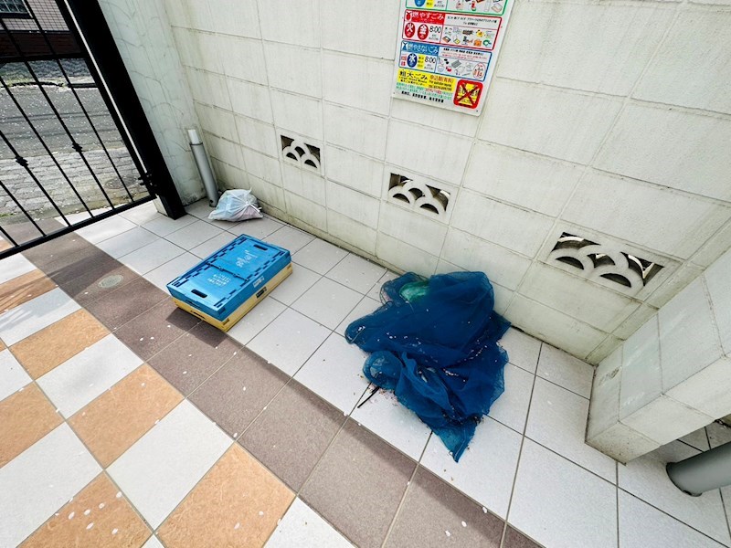 ＭＩＪＡＳ　Ｋａｍｅａｒｉ－ＥＳＴＥ その他外観2