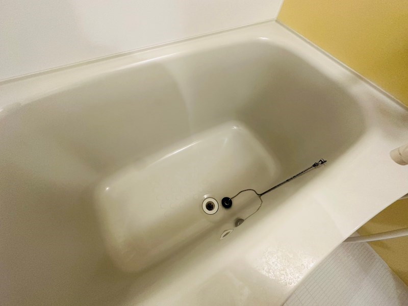 ＭＩＪＡＳ　Ｋａｍｅａｒｉ－ＥＳＴＥ その他11