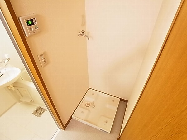 アムール est vert その他10