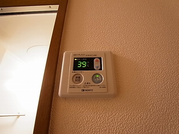 アムール est vert その他11