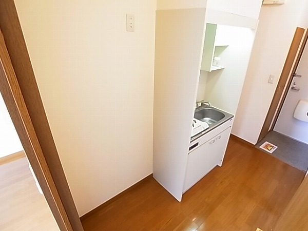 アムール est vert その他12