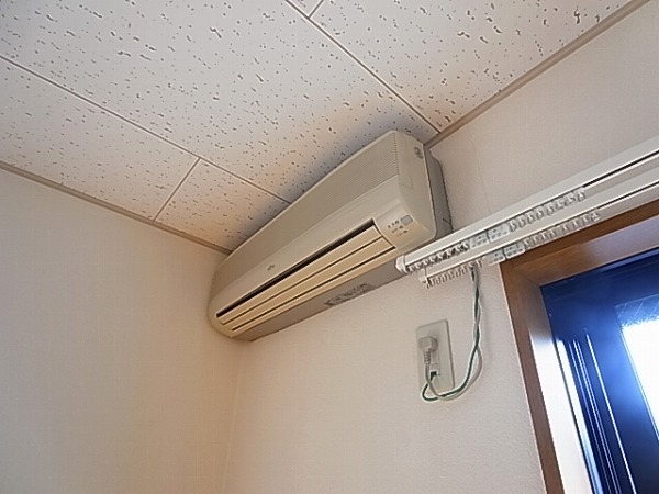 アムール est vert その他13