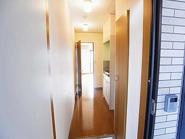 アムール est vert その他15