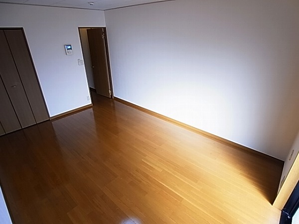 アムール est vert その他16