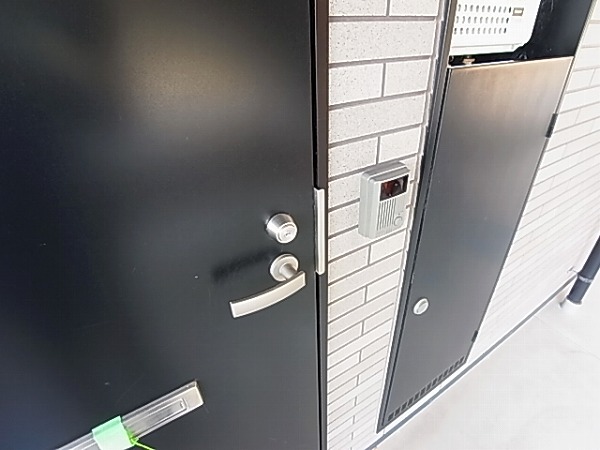 アムール est vert その他17