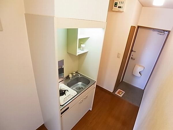 アムール est vert その他18