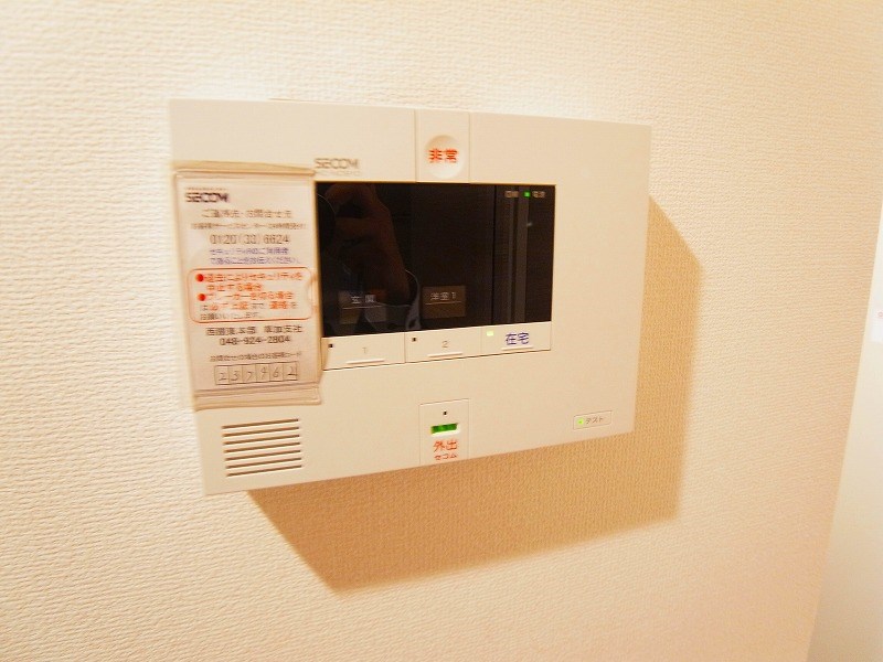 プルメリア その他5