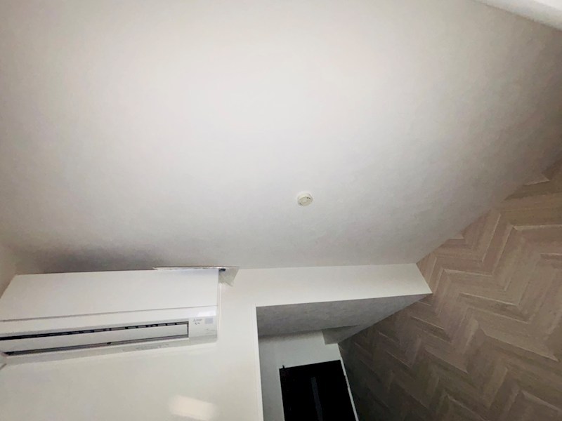 Freesia梅島 その他24