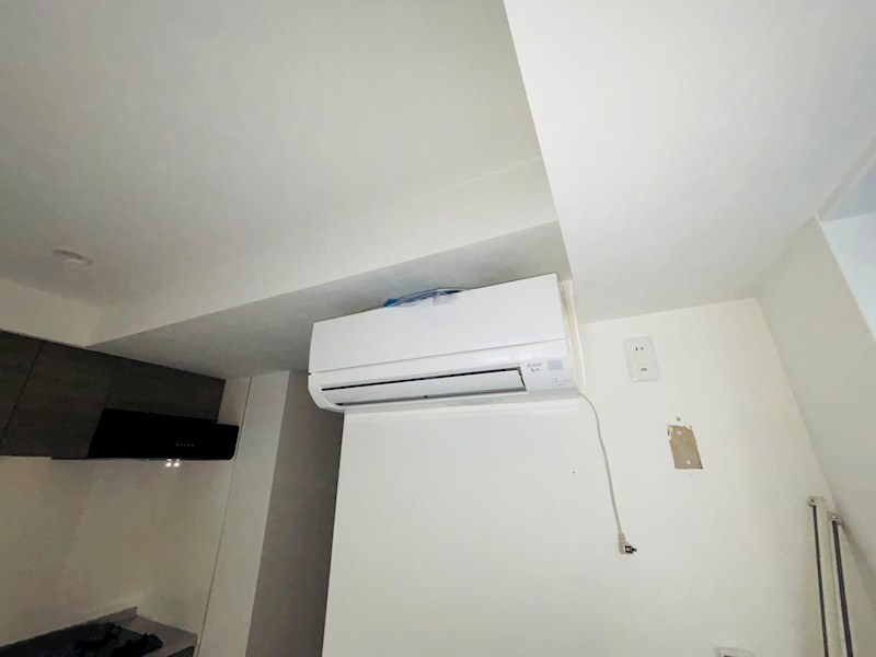 Freesia梅島 その他18