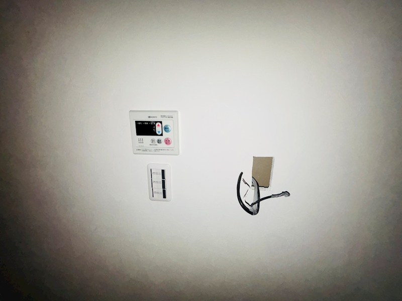 Freesia梅島 その他4