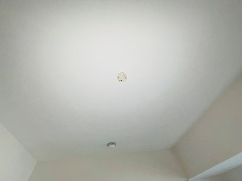 Freesia梅島 その他15