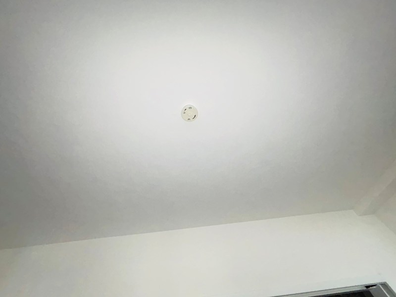 Freesia梅島 その他22