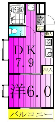 ジュネパレス柏第１９ 間取り