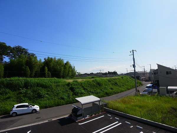 シンシア その他4