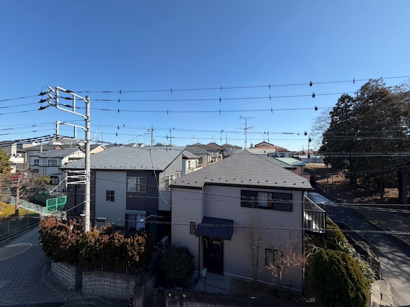 Dear Life その他6