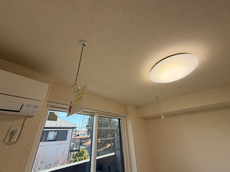 Dear Life その他25