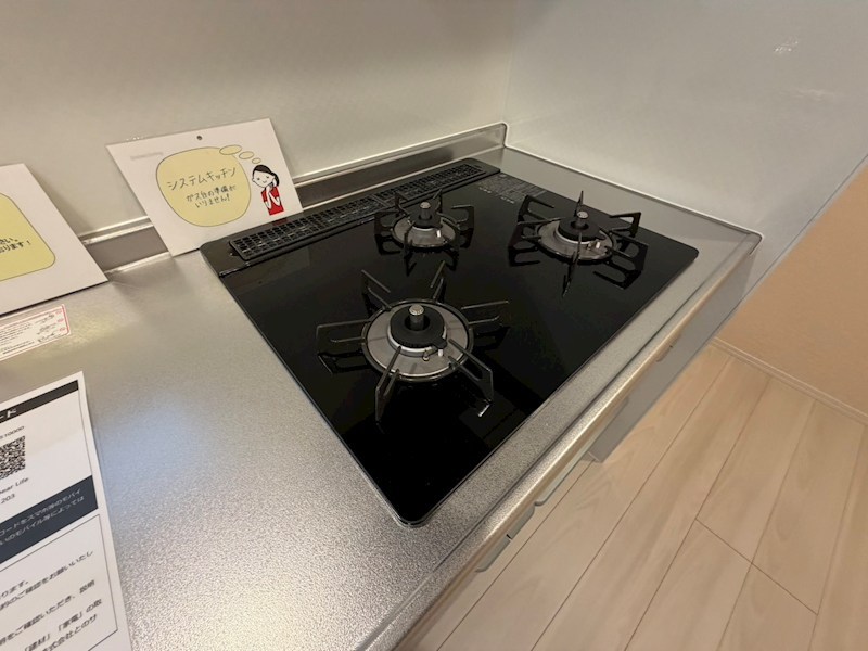 Dear Life その他28