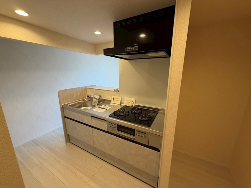 Dear Life その他31