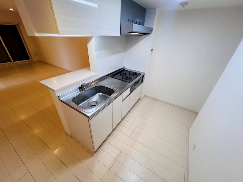 リブリ・ＳＨＩＳＵＩ１ その他14