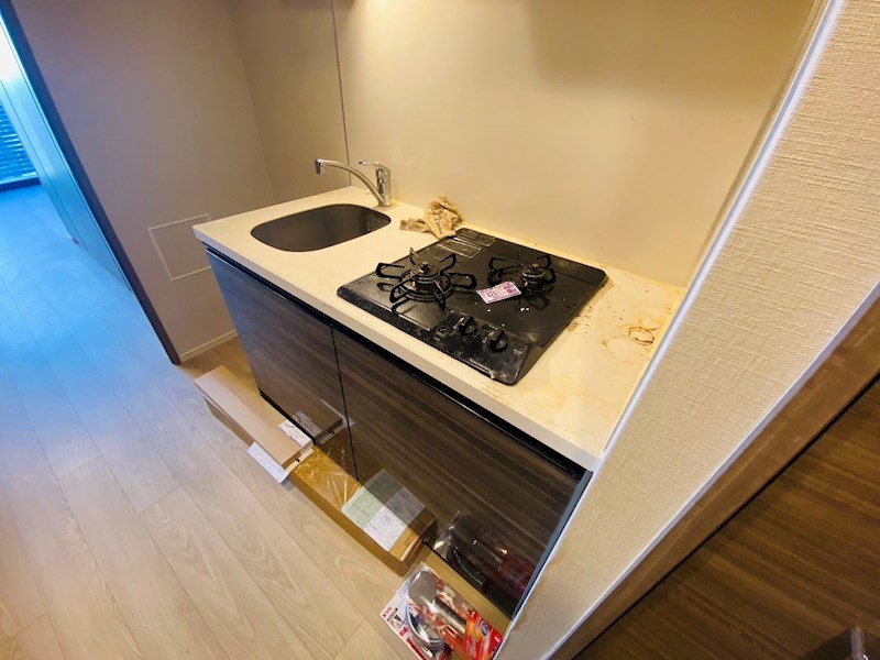 ＤＩＰＳ金町レジデンス その他13