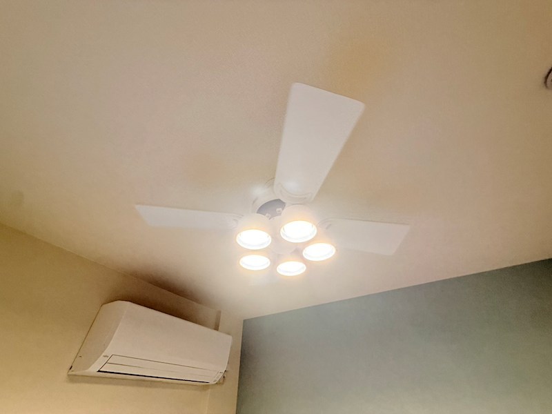 テラス金町 その他14