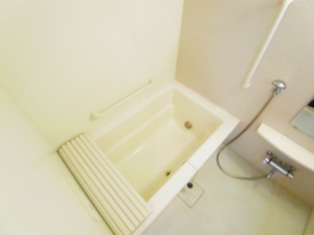 ロイヤルパークス西新井 その他17