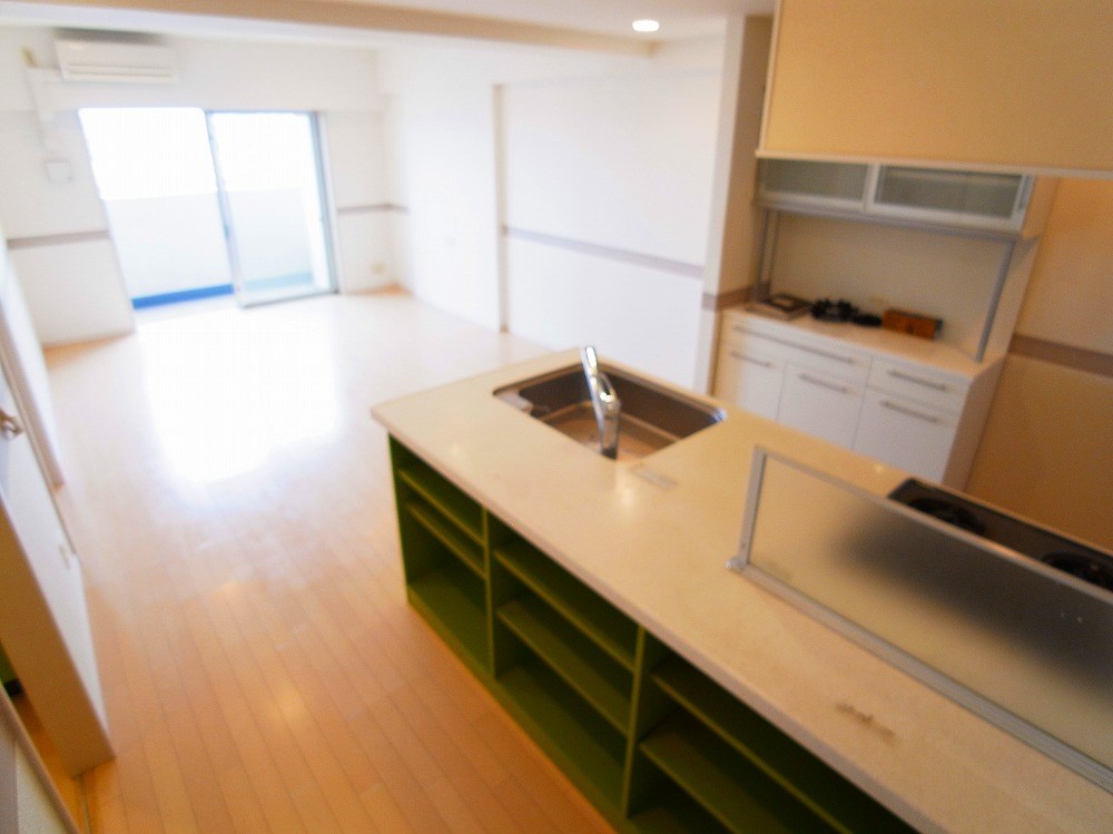 ロイヤルパークス西新井 その他28