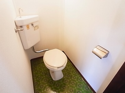 パナハイツ幹 その他1