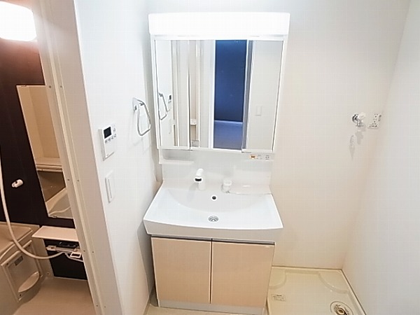 アムール・ゼルコバ その他2