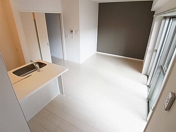 アムール・ゼルコバ その他8