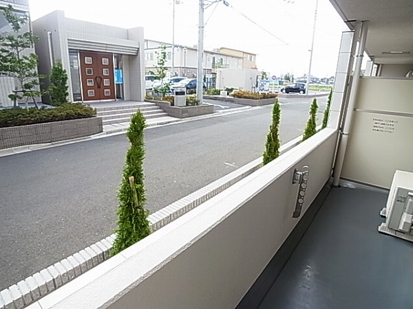 アムール・ゼルコバ その他12