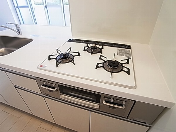 アムール・ゼルコバ その他14