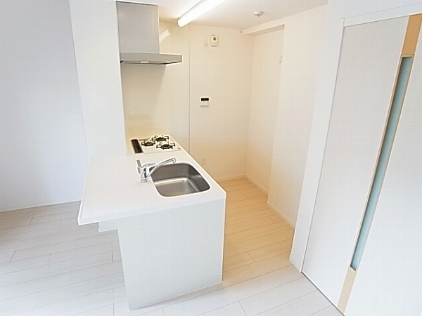 アムール・ゼルコバ その他15