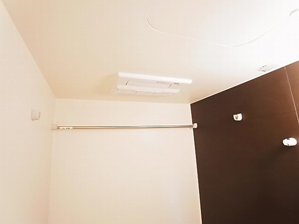 アムール・ゼルコバ その他19