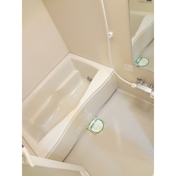 ザ・グランド・アルビオン 風呂画像