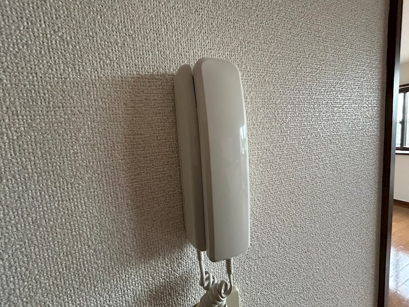 ラフィーヌ・フォレ その他4